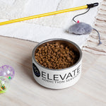 EAS Pet Bowl